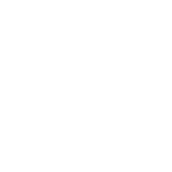 Tv2 logo